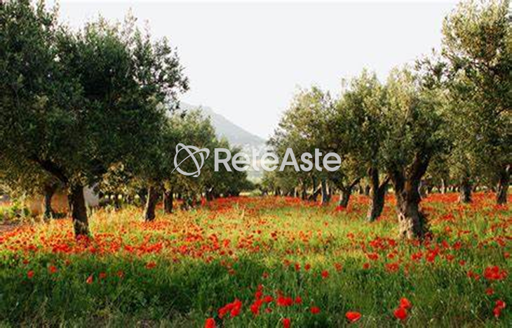 Terreno - In evidenza su Aste tra privati